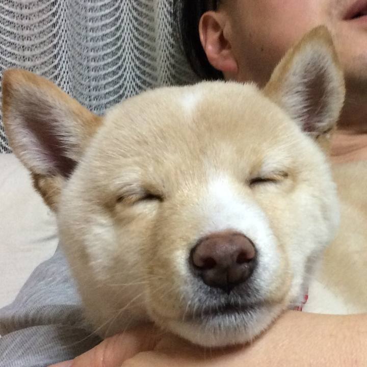 328fcc2a ffaa 46a1 b6d0 86a1bab264a7