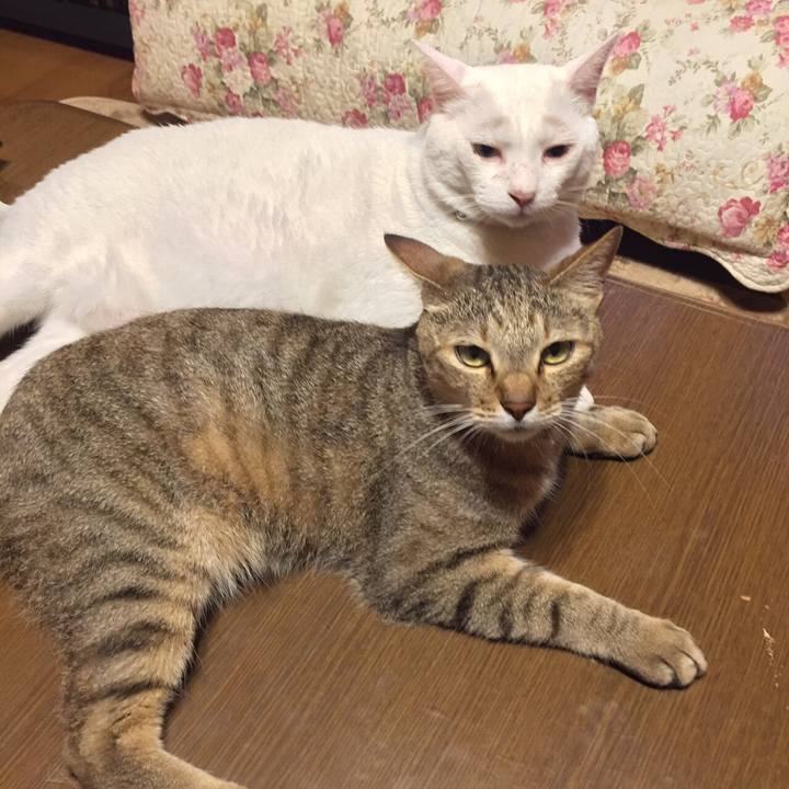 3291138a 6ec5 4fe6 8f0c e26433925e0f