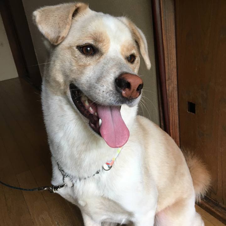 329177ef c083 4832 9c53 9c0e1d9ec998