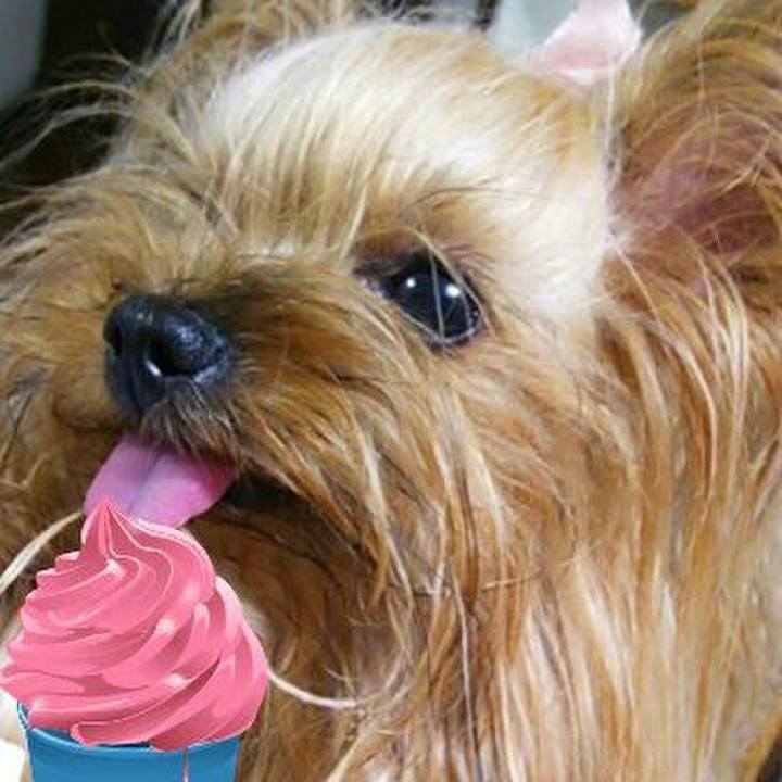 3291cd25 3723 4c86 b290 d30d14308a73