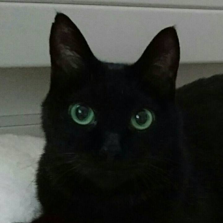 32923cbc b47c 401d a6e2 f3727f7bdc56