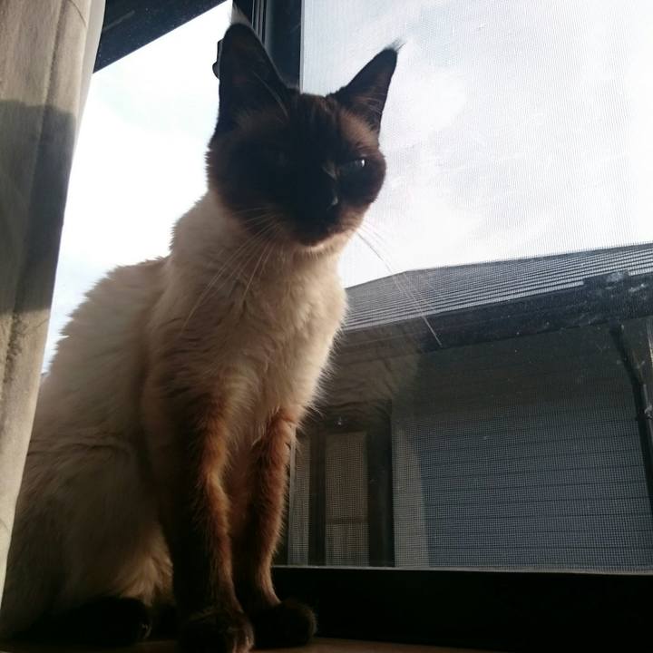 3292af3e 345f 470a 9c34 b808ae7444ad