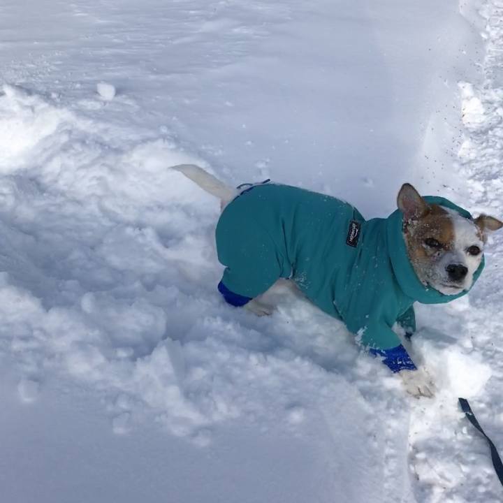 32933174 cbbe 44ef 8905 946d521e76f0