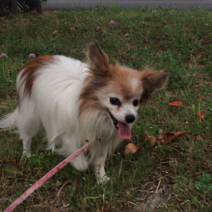 32937f88 9cce 4d84 b1f9 f107656151f1