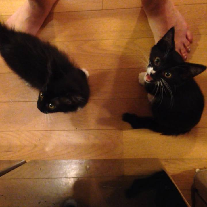 3293ba7f 939b 41f2 959d 52001997ed2f