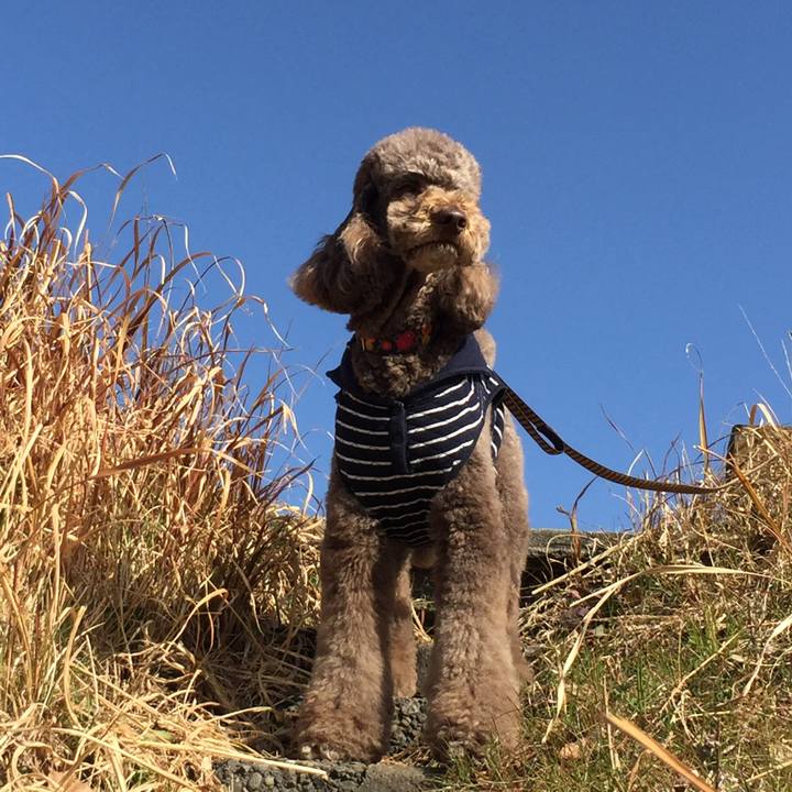 3294a33c ae22 4aec b114 432dff0852ce