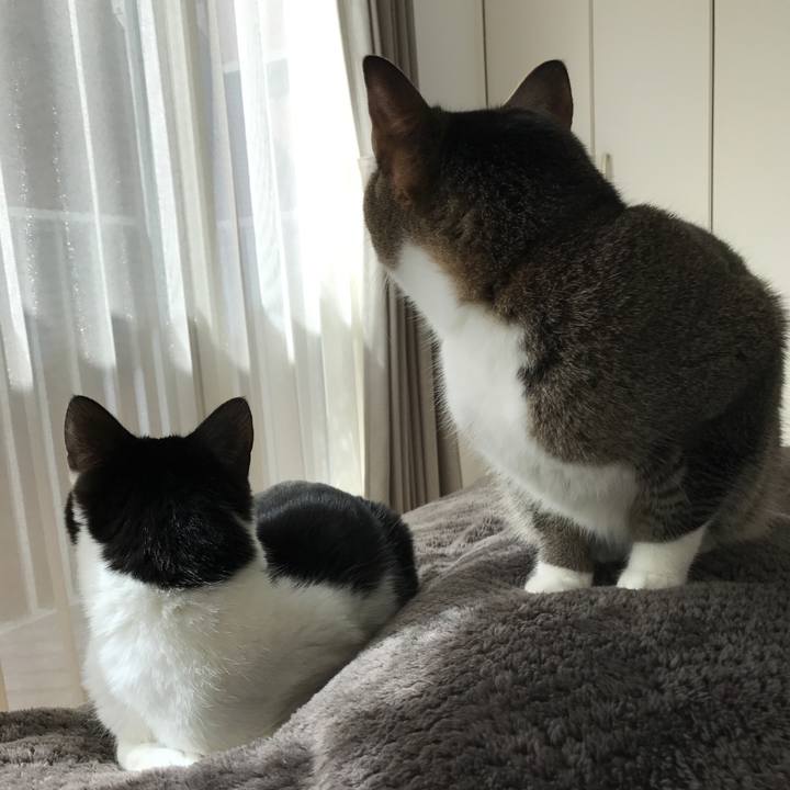 32955f9a 4286 4a82 99a5 949d91577d21