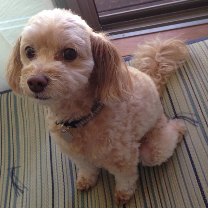 3295bfdb cc41 4242 9454 ea95bef79e70