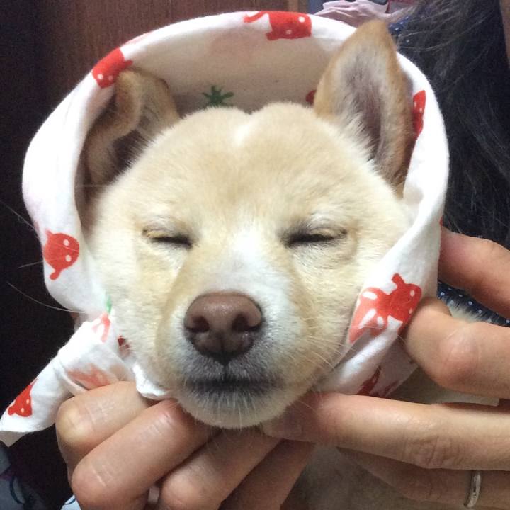 32967b1e 551e 4478 a2ed 31e9a5cfcce8