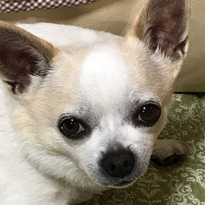 3297342a 3c78 4b1f acdf 31e647401f21