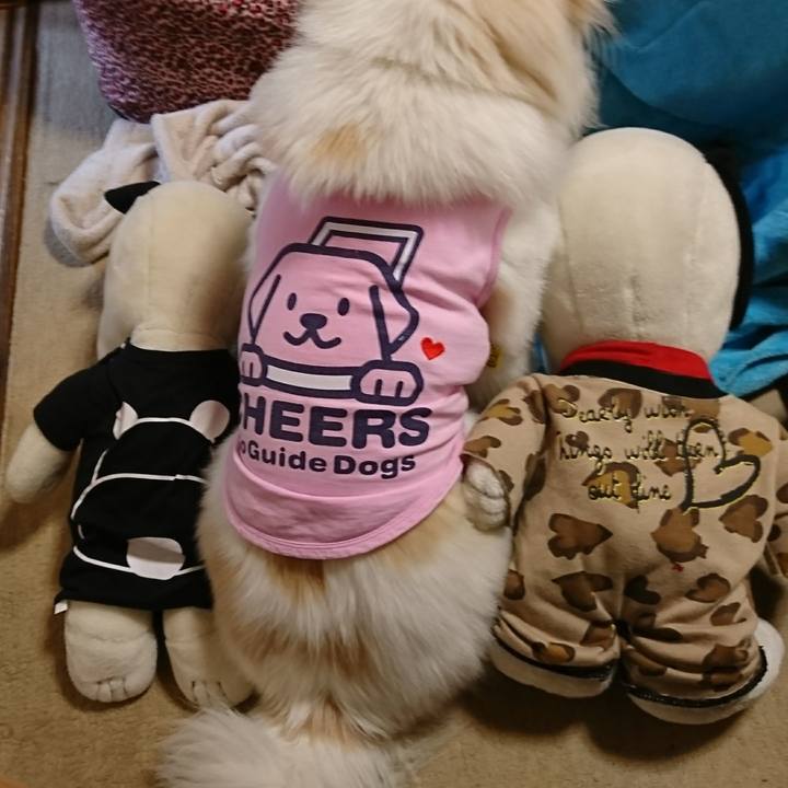 3297d2ab b68a 4b3b bc61 95337b06fa82