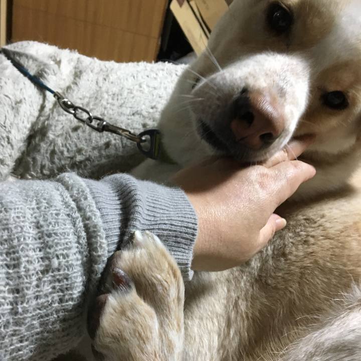 3297dae9 45ba 4541 b37f 0bcb1cc8f24e