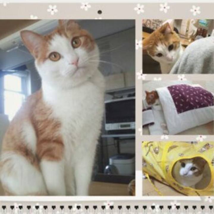 3297e6e0 d417 43b3 95a1 3fa7acb2a415