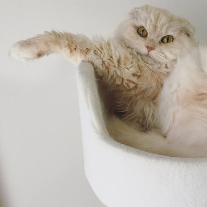 32987a28 4543 4f07 8f1f 184b6fb0c1f2