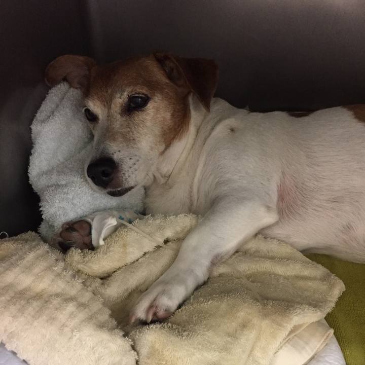 32988b89 e8ff 4f9c abbd 297c3f22d99d