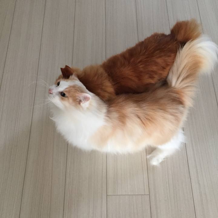 3298e490 46dc 4571 b120 0edff6049474