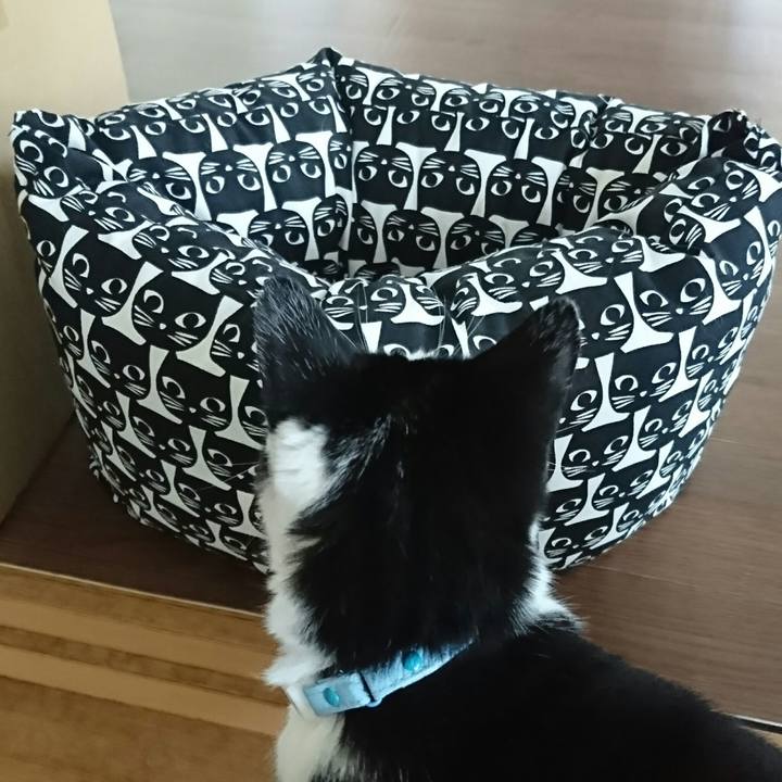 3298f3c0 3c26 464d 8ecb c8d62592e12a