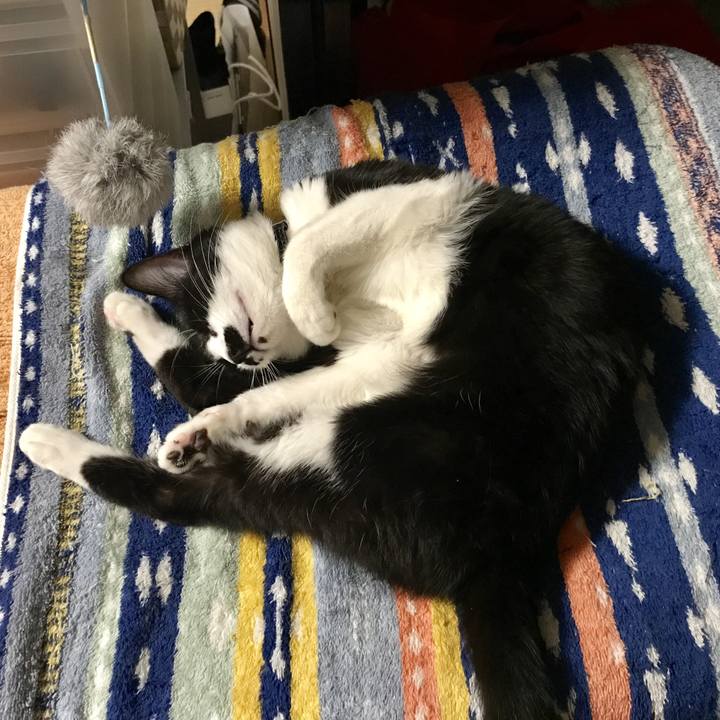 3298f803 c34c 4395 bc77 22b80071d6aa