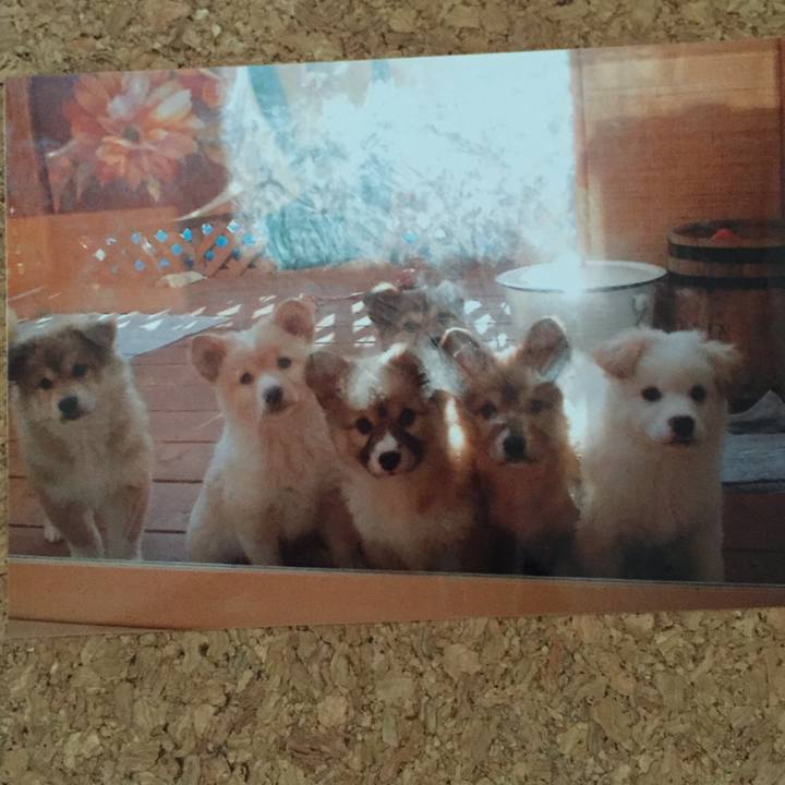 3298fd78 3758 4553 92cf 663d61cf2ad7