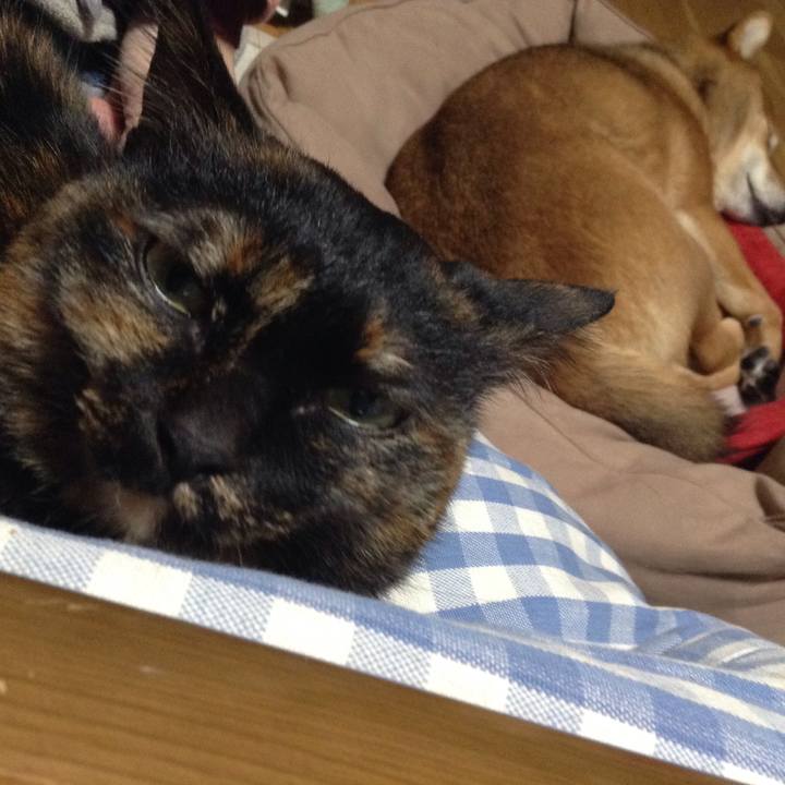 32995d0d 59a9 4d7d 8431 644a35d76309