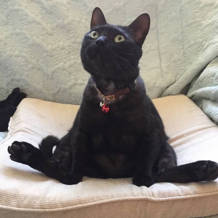 3299e95b 7d59 4129 b389 96ca6b8f336a