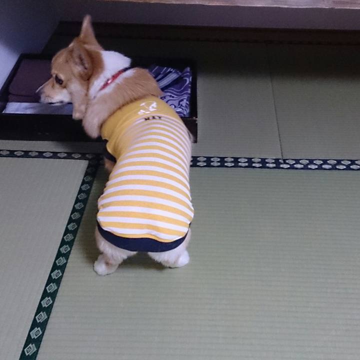 329a8453 2d48 4efe 86ef 102527085852