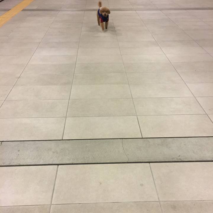 329aac6a 3327 48b6 8571 91c986c95934