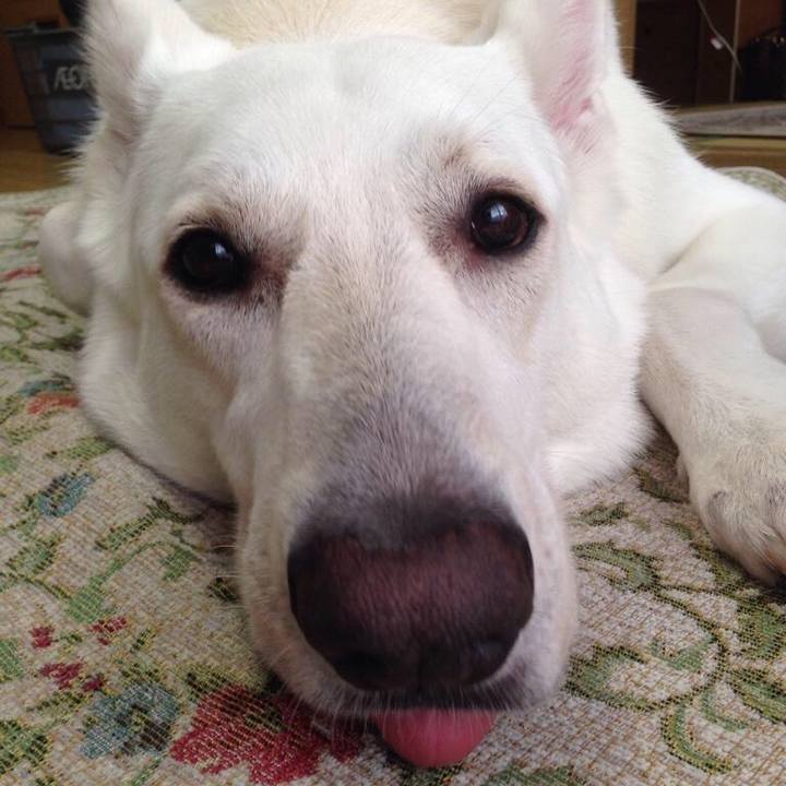 329acbe1 d340 4b2f b1ef 0084a5fc6441