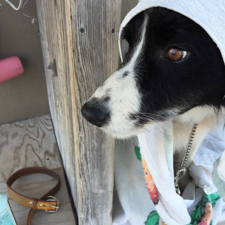 329cf515 0112 4d3b 805d 8fa0f26f5bdd