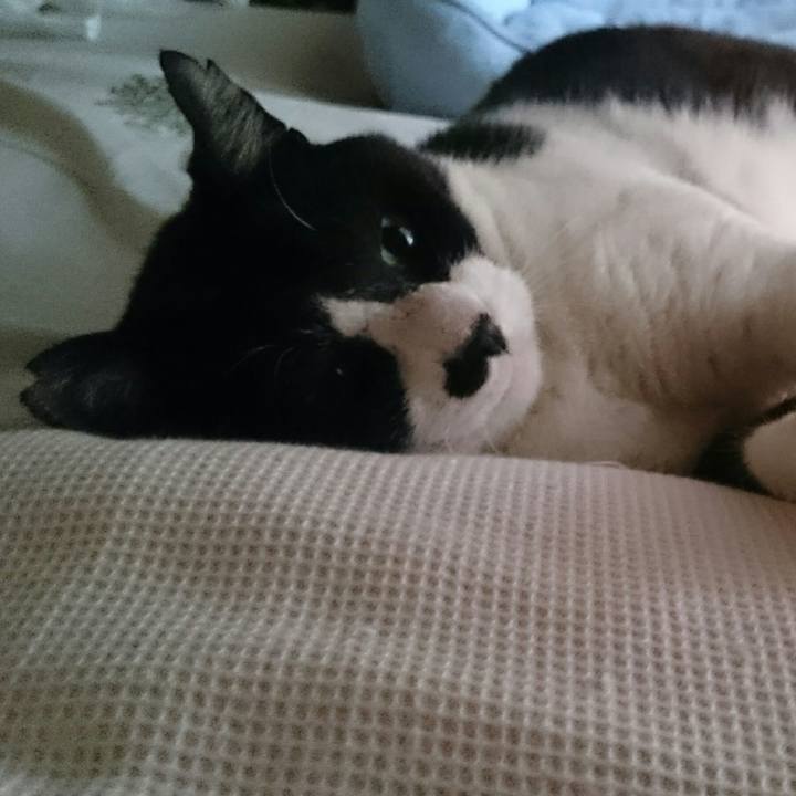 329d0161 c0db 470b a3de cb332aac3566