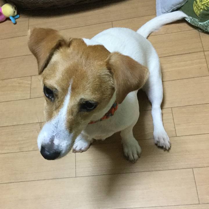 329e1f08 de68 4f36 832f fa1c5e09e185