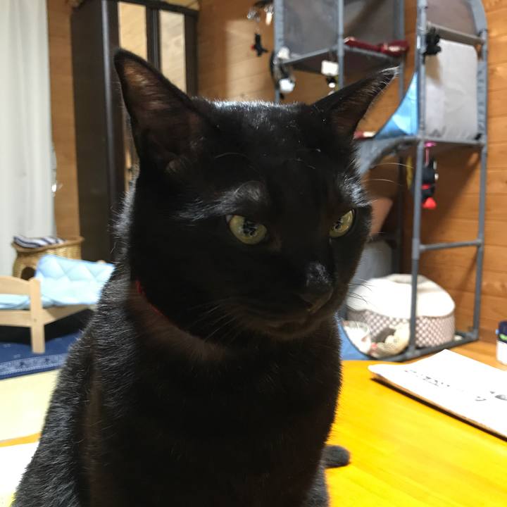 329e3a71 f775 4877 8a29 aca1655186c6