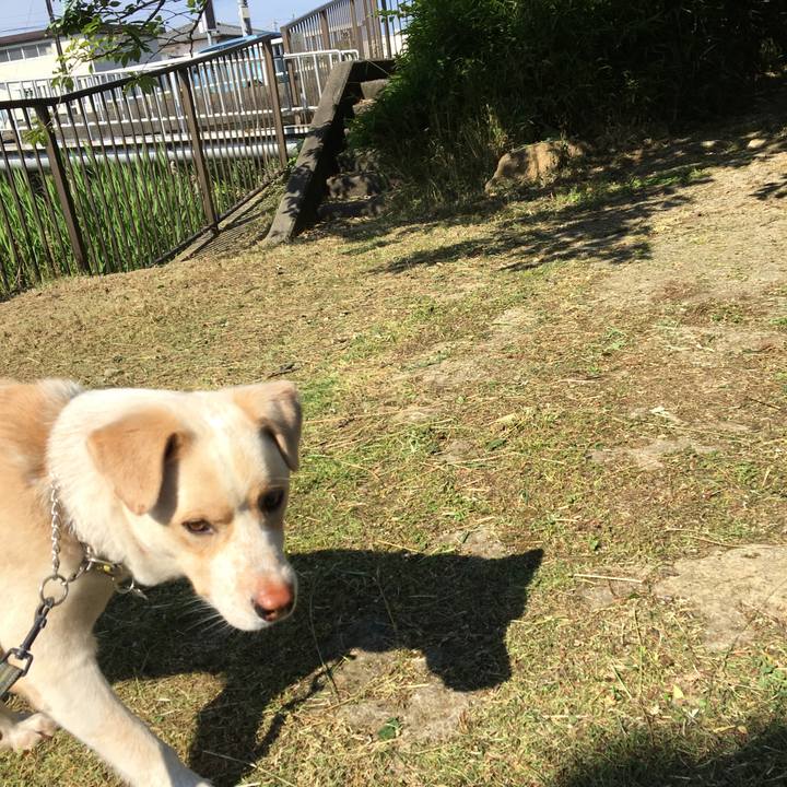 329f9754 e7a5 40ad affb e2da391b07cd