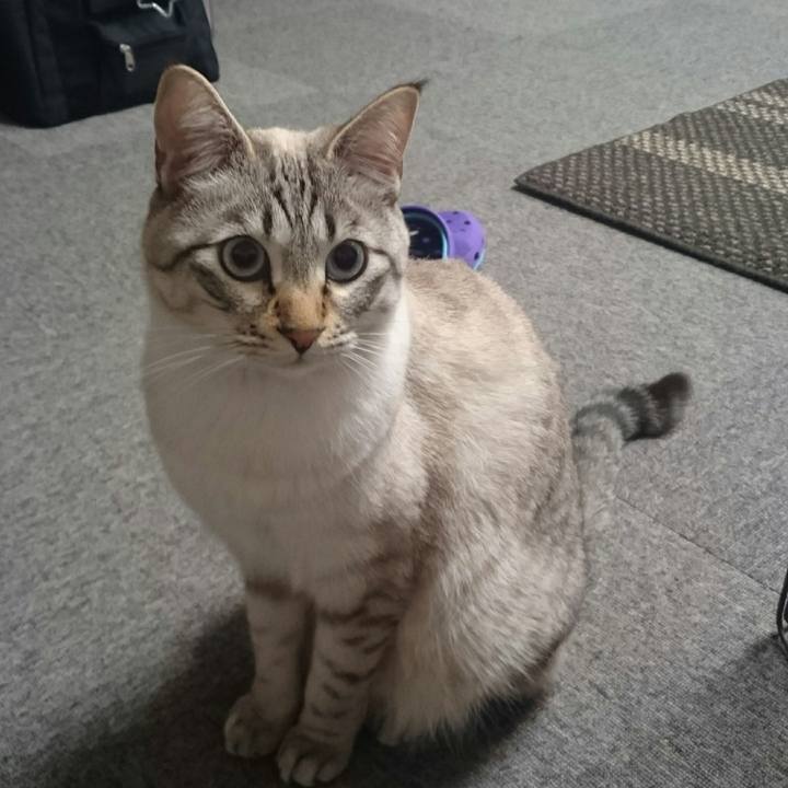 329ff76f 9580 4ca5 b294 76ec300aba14