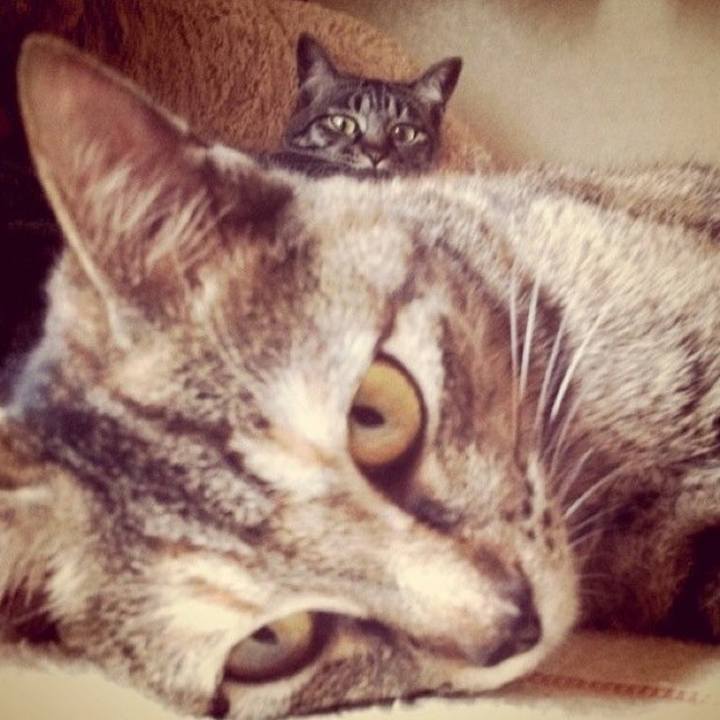 32a01eb9 86d1 48ed 923f 1679734992dc