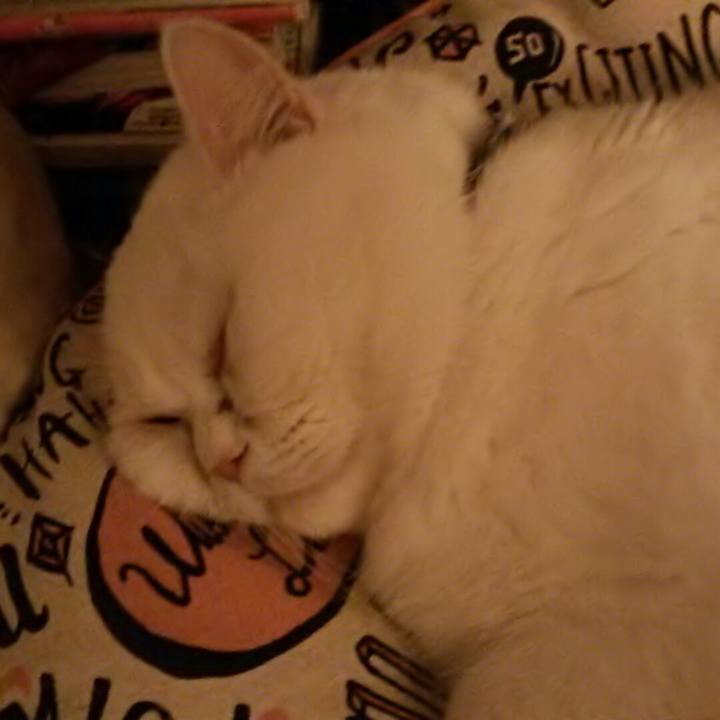 32a04724 fd1e 4551 87c5 aa5c8fb5cba2