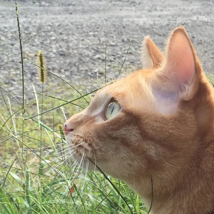 32a092ff 8132 4cdd 8688 ab031cadaf8b