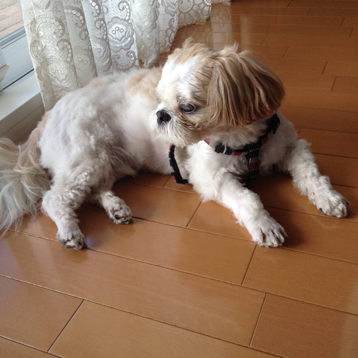 32a0b64e 20fc 4c7e 946f 3c1808c2d519