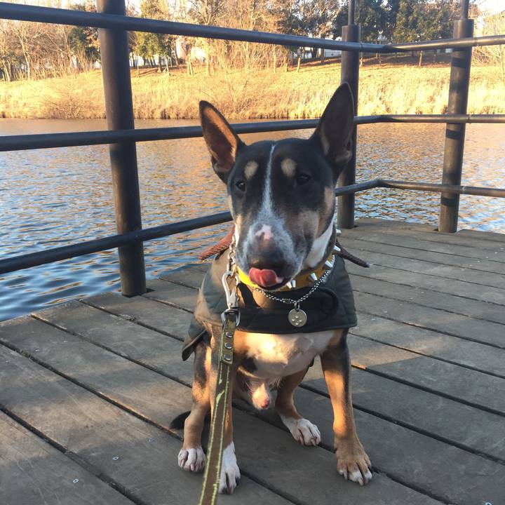 32a0d040 524a 4ecb 891c fb2c174a400b