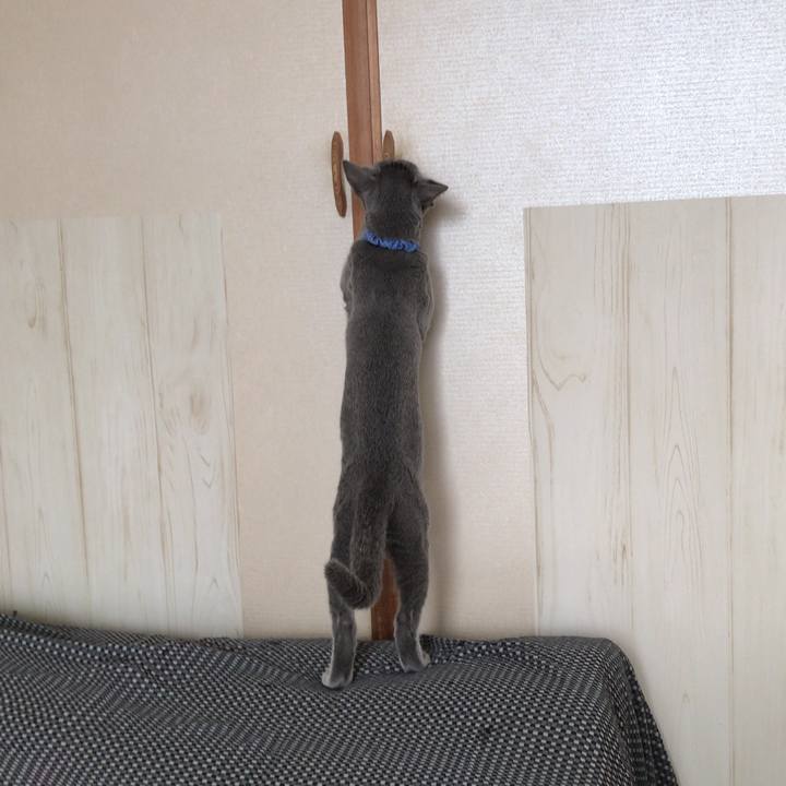 32a13a41 df00 46bc adbd de88805c72d2