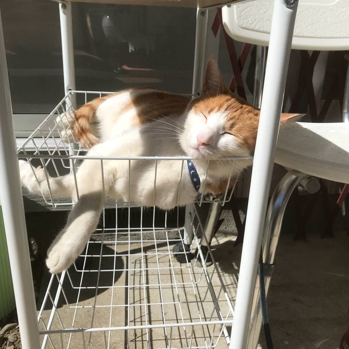 32a151a4 9abe 43bd 977a daf06bfd93cb