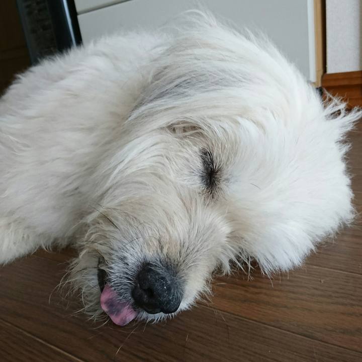 32a155dd 33f3 4685 8385 6a55d39a6469