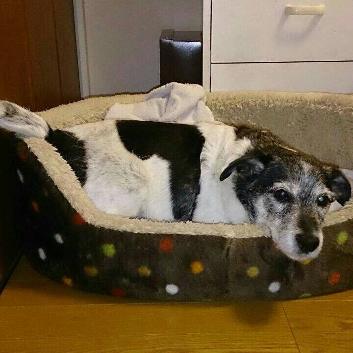 32a1b257 9863 4e58 b48d 02b20f940535