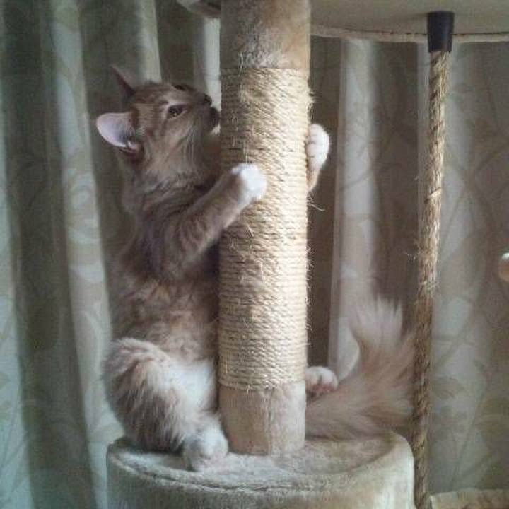 32a248bf 9f85 4ccb 8ee8 46b59cee8d70