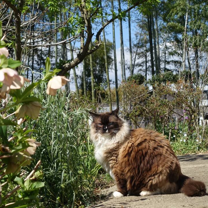 32a27e6a 436c 43eb a414 3b3b9ee742ed