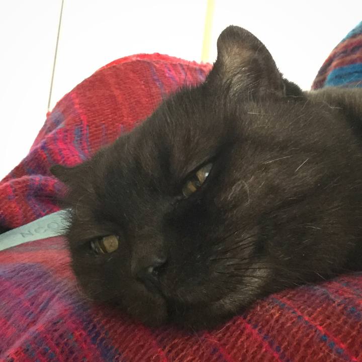 32a2c32d c2cd 4ec7 a8bb 6ef397053b87