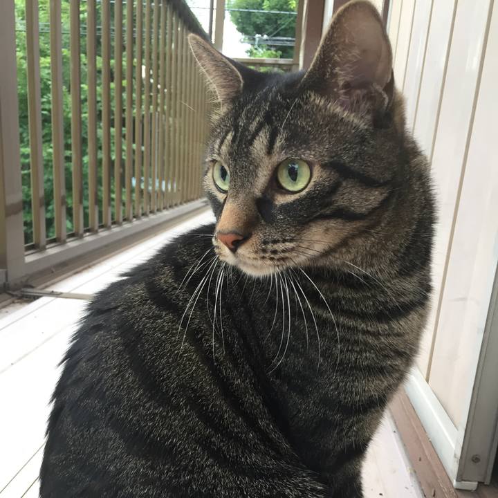 32a307be 47bd 4361 b702 154187e713be