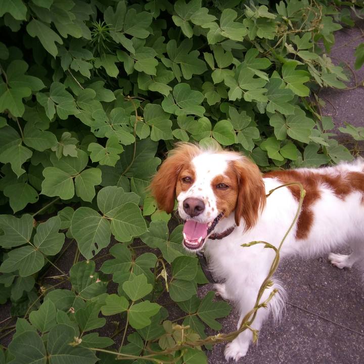 32a464b0 b30b 4fb9 97d9 0a64f0caa1a8