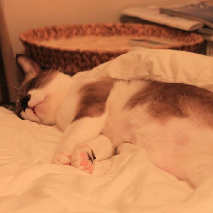 32a4ff41 3cd6 4052 aa8d 304b90a855f8