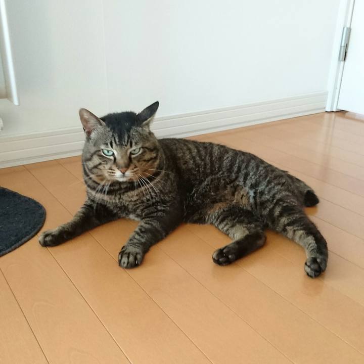 32a631bc 3936 4f8a 838a a8e8ea811593